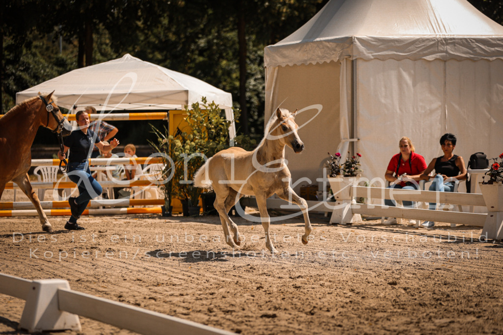 06.DoH00090 | Leoni Ertmer Photography - Realisiert mit Pictrs.com