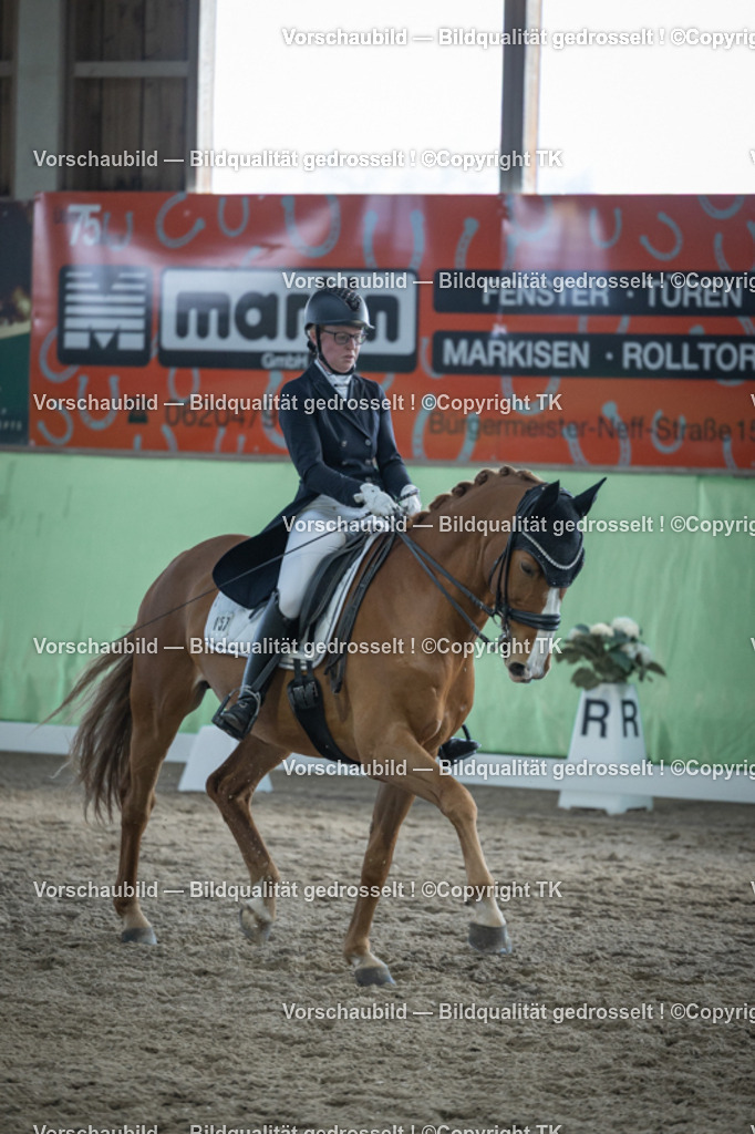 _D5A0472 | Emotionale Pferde- & People-Fotografie rund um Heidelberg, Leimen & Umgebung. Natürliche Fotos von Pferd, Mensch & Familie. Jetzt Termin sichern!