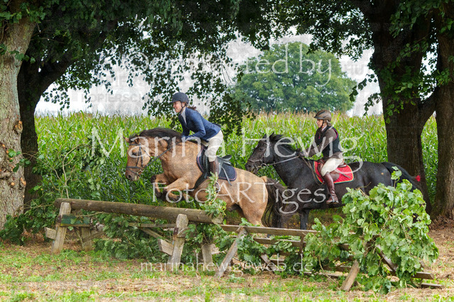 Jagd Perdoel_MarinaHewigMCH04927 | Fotografie, FotoArt, PferdesportArt, Pferdesportfotografie, Landschaftsfotografie, Reisefotografie, Reise, Pferde - Realisiert mit Pictrs.com