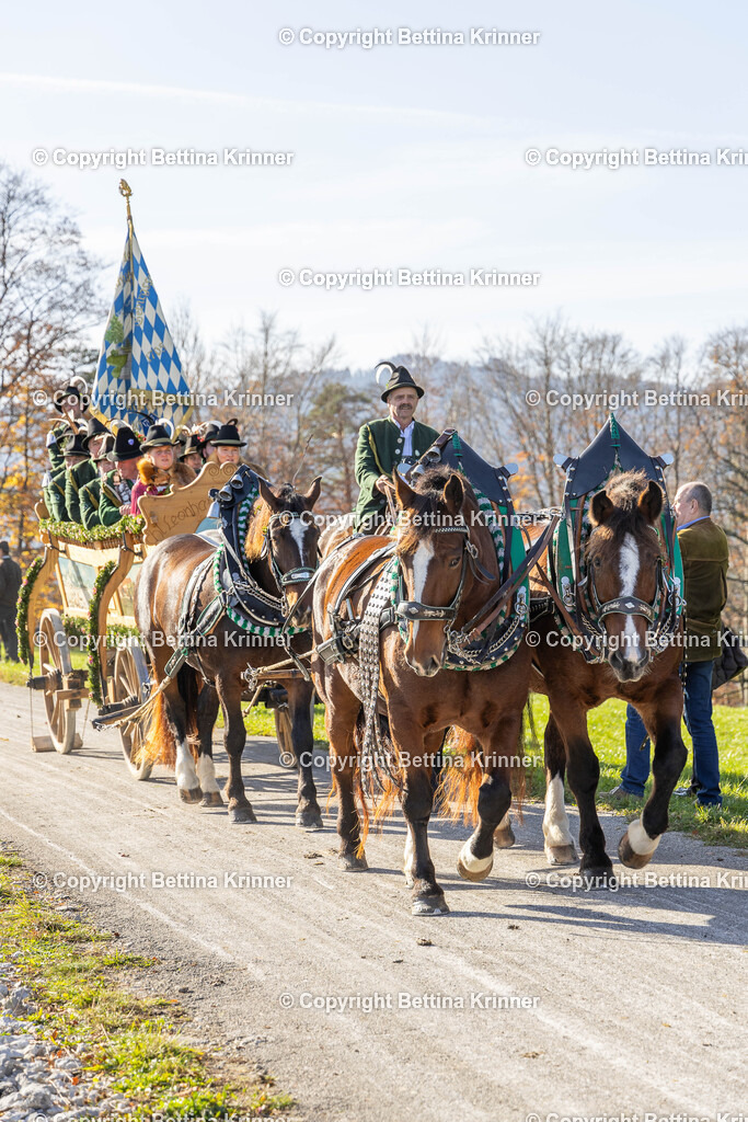 LBT24-1285 | foto-bettina-krinner - Realisiert mit Pictrs.com