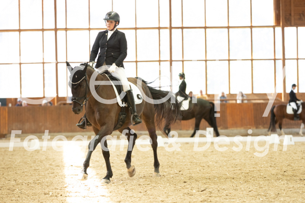 IMG_6003 | Creatify Fotografie