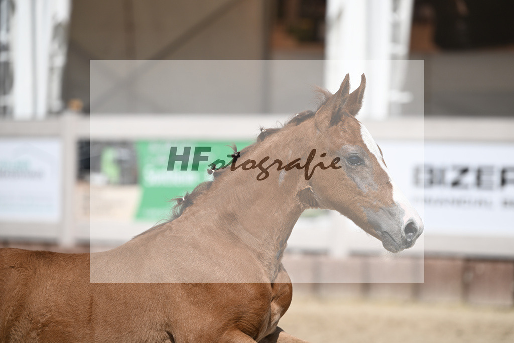 Arezzo Man x Zinedream_HF_Lohmiller_12250411 | hf-fotografie - Realisiert mit Pictrs.com