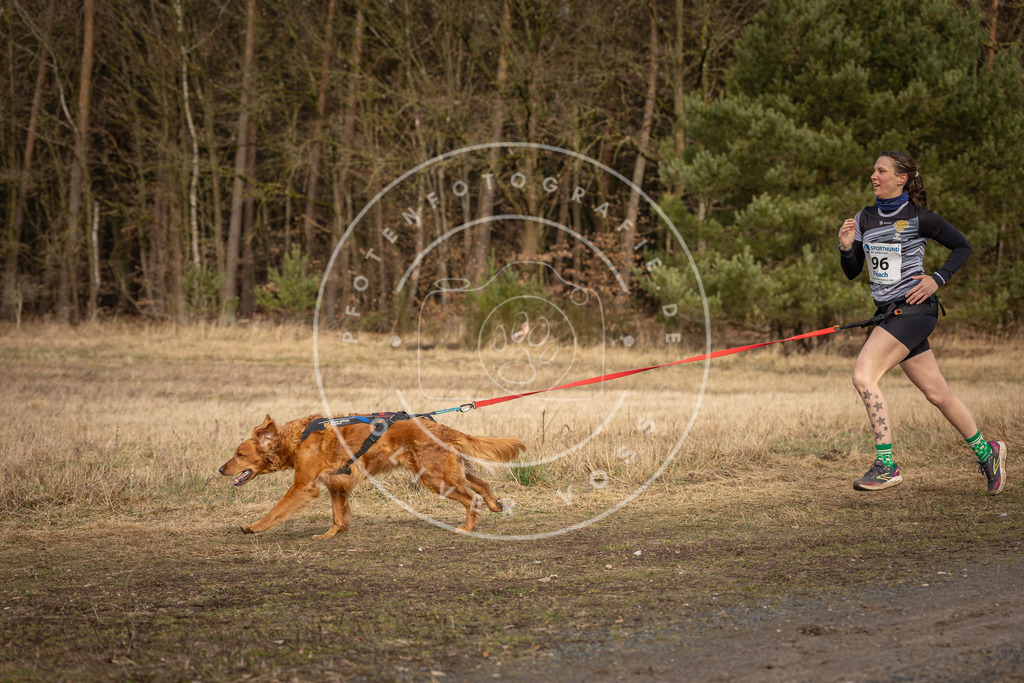 DV3A4106 | Hundefotografie, Tierfotograf, Pfotenfotografie, Fotoshooting Hund, Hunde Portrait, Hundesport, Hundeportraits, Heideshooting, Hunde, Sportfotograf, Hundefotograf, Turnierhundsport, THS,  - Realisiert mit Pictrs.com