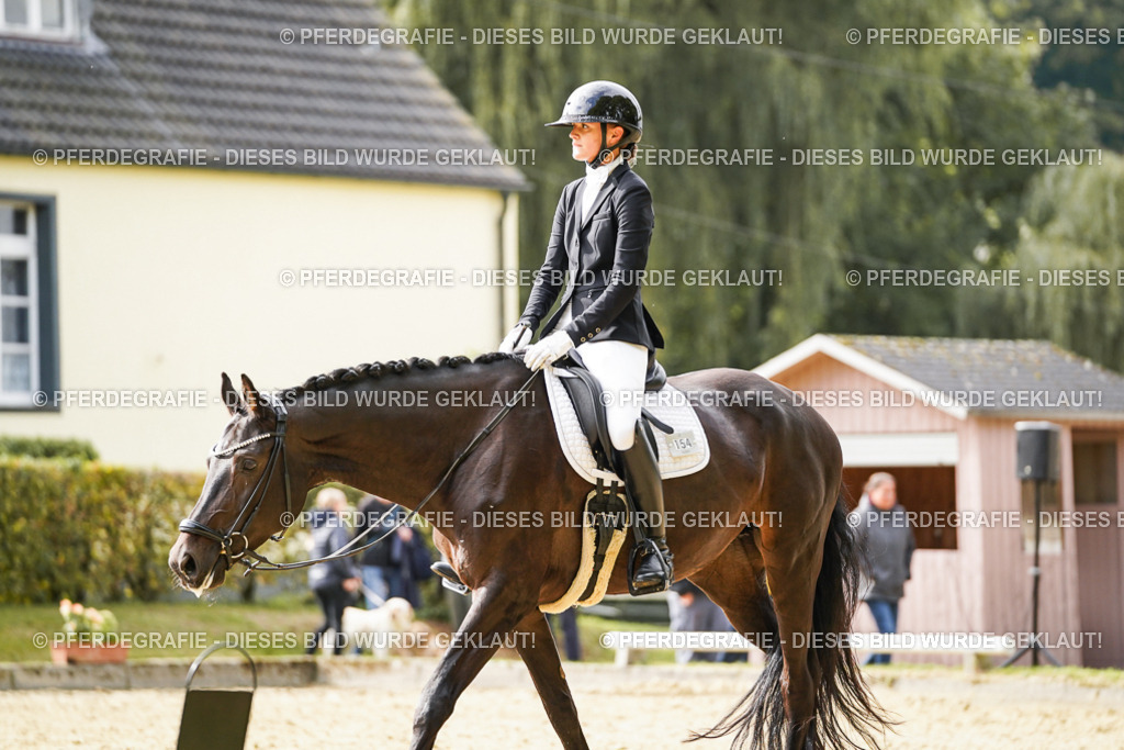 DSC00924 | Pferdegrafie