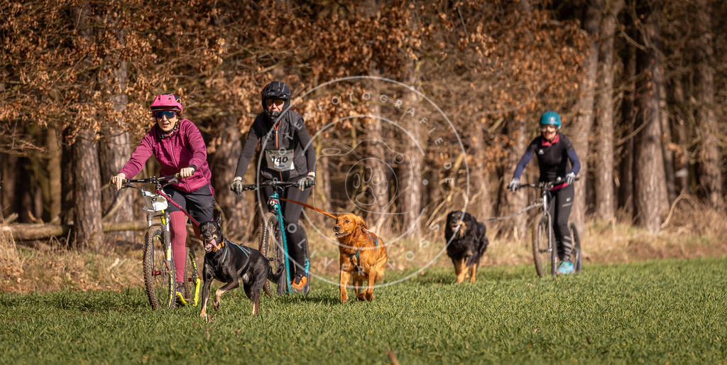 DV3A6111 | Hundefotografie, Tierfotograf, Pfotenfotografie, Fotoshooting Hund, Hunde Portrait, Hundesport, Hundeportraits, Heideshooting, Hunde, Sportfotograf, Hundefotograf, Turnierhundsport, THS,  - Realisiert mit Pictrs.com