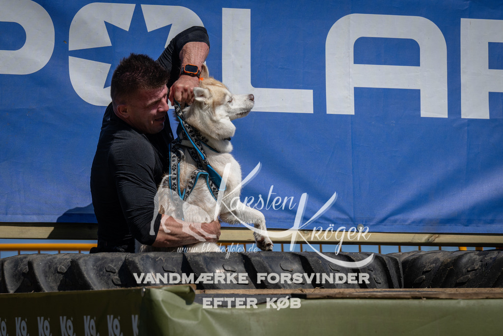 1243_ZZ96384 | kk-dogfotos