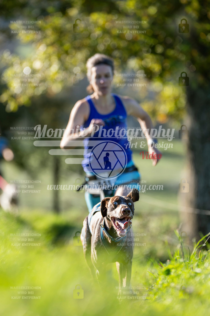 MompixPhotography_20TSB_E3_Run-103 | PayLife