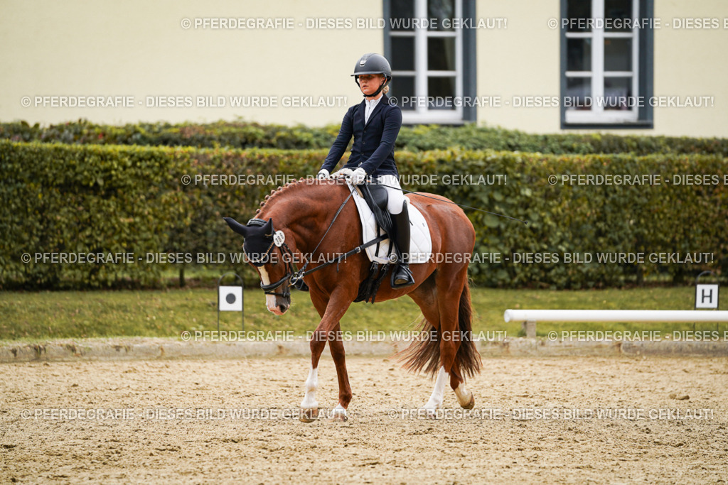 DSC09684 | Pferdegrafie