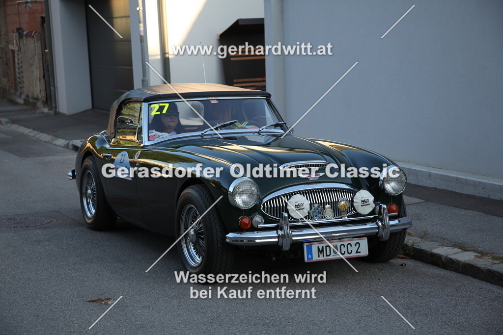 IMG_3794 | Gerhard Witt