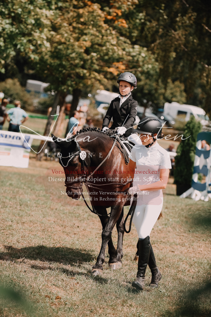DSC_6158 | Pferde- und Turnierfotografie in Westsachsen. Pferdeportraits, Auftragszeichnungen und intuitive Kunst.