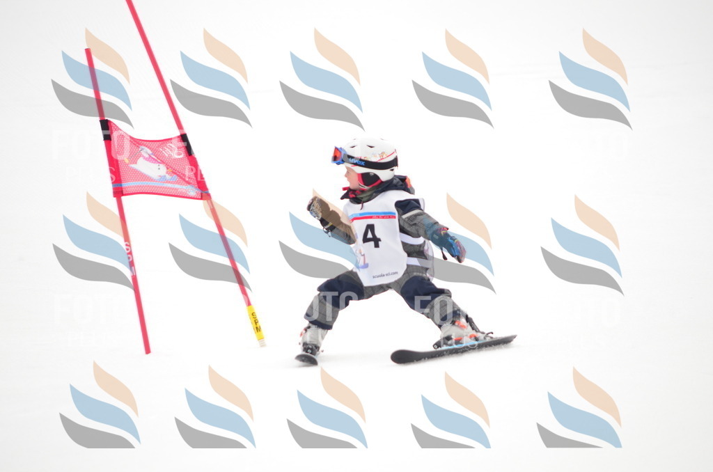 B8921 | holidayphoto