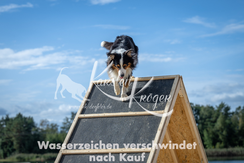 1430_ZZ91432 | kk-dogfotos