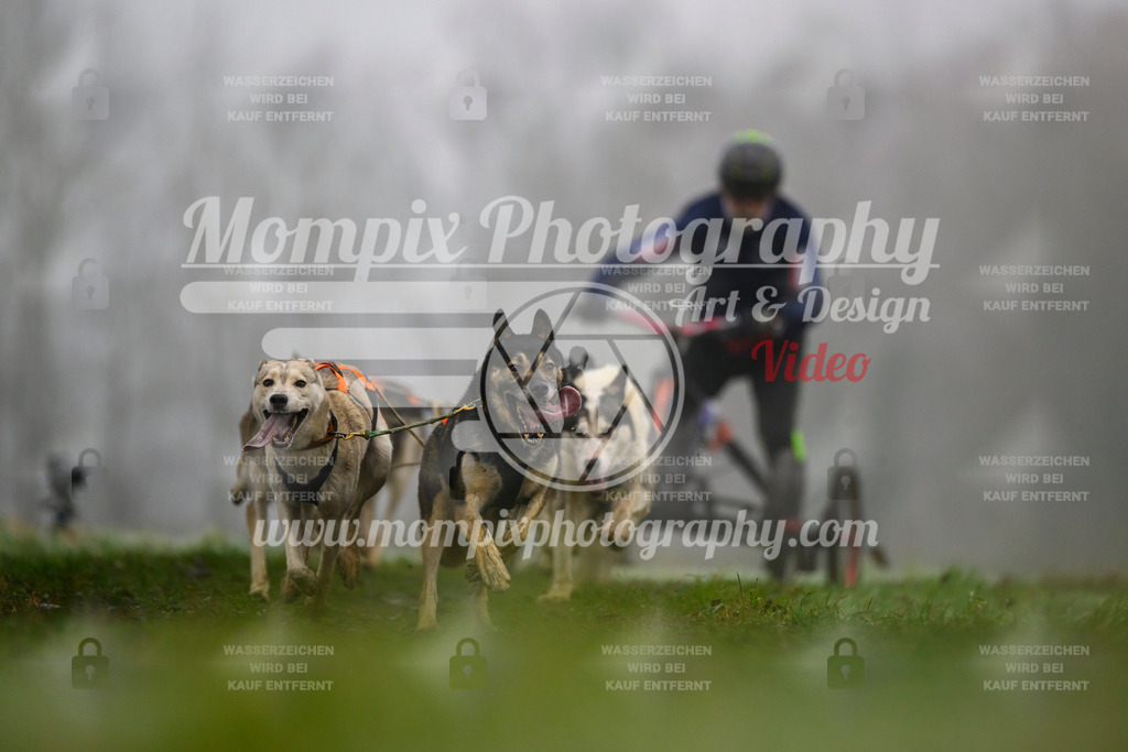 MompixPhotography_CDF2023_FFST_Di_Kart-83 | PayLife