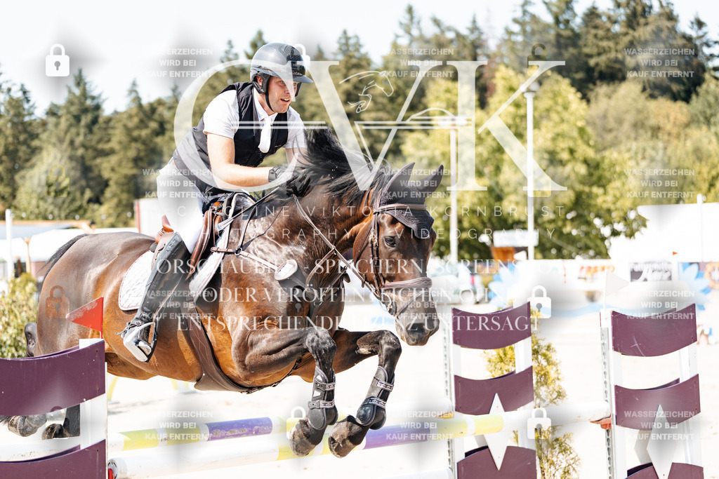 CK901371 | Turnierfotografie Pferdefotografie Trier Rheinland-Pfalz Pferdesport Reitsport Tierfotografie Sportfotografie Pferdevideo Pferdevideografie Equestrianvideography equestrianphotography  - Realisiert mit Pictrs.com
