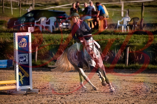 2026_10_03_Siefer-Hof_171358_Z81_11108249 | Professionelle Reitsport-, Turnier- und Eventfotografie von Robert Broda. Galerien mit ausgewählten und bearbeiteten Bildern direkt online ansehen und bestellen.