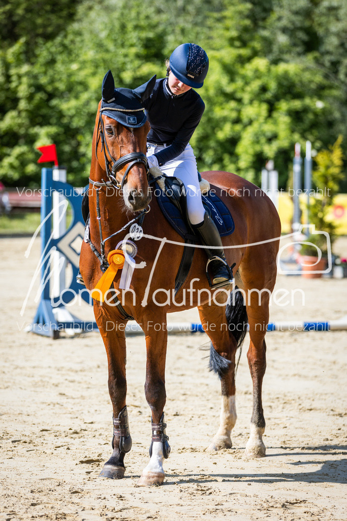 Donop24-ESpr-105 | MomenTaufnahmen Pferdesportfotos