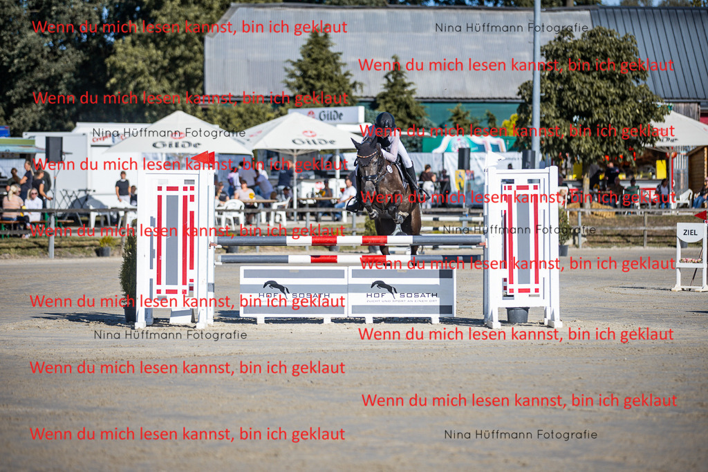 BK1A5947 | Turnierbilder Turnierfotos Nina Hüffmann Turnierfotografie Pferdefotografie Tierzeichnung Haustierzeichnung Pferdezeichnung Hundezeichnung Videograf  - Realisiert mit Pictrs.com