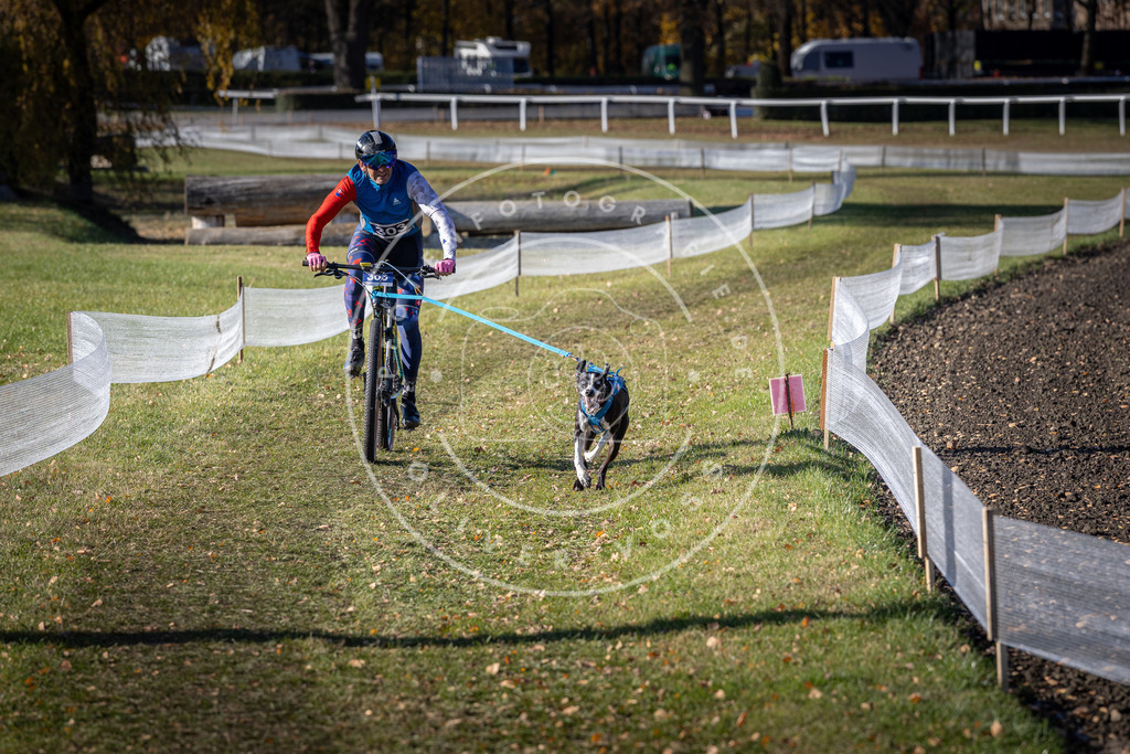 CaniXpix_DV3A6147 | Hundefotografie, Tierfotograf, Pfotenfotografie, Fotoshooting Hund, Hunde Portrait, Hundesport, Hundeportraits, Heideshooting, Hunde, Sportfotograf, Hundefotograf, Turnierhundsport, THS,  - Realisiert mit Pictrs.com