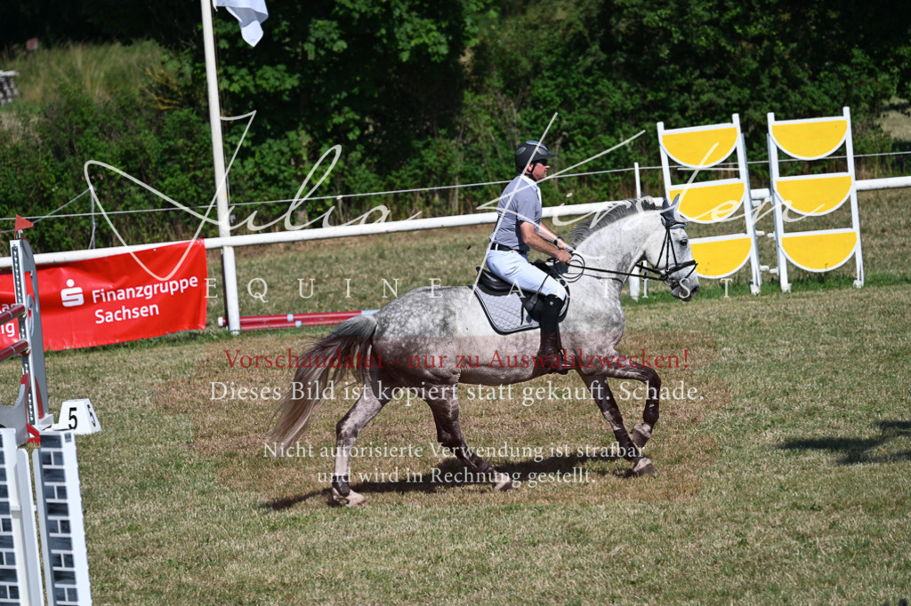 DSC_1959 | Pferde- und Turnierfotografie in Westsachsen. Pferdeportraits, Auftragszeichnungen und intuitive Kunst.