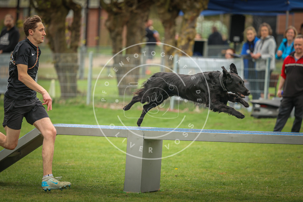 Pfotenfotografie_0L8A1480 | Hundefotografie, Tierfotograf, Pfotenfotografie, Fotoshooting Hund, Hunde Portrait, Hundesport, Hundeportraits, Heideshooting, Hunde, Sportfotograf, Hundefotograf, Turnierhundsport, THS,  - Realisiert mit Pictrs.com