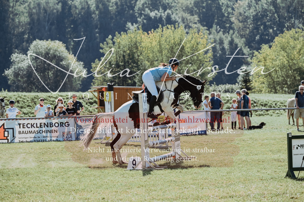 DSC_5480 | Pferde- und Turnierfotografie in Westsachsen. Pferdeportraits, Auftragszeichnungen und intuitive Kunst.