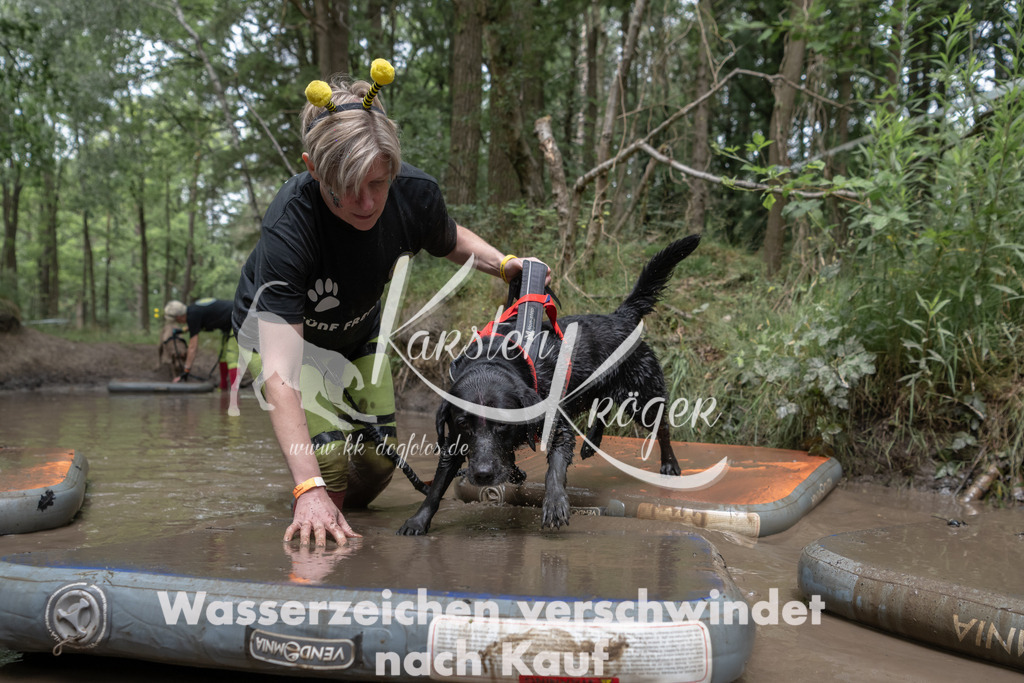 1338_ZZ95034 | kk-dogfotos