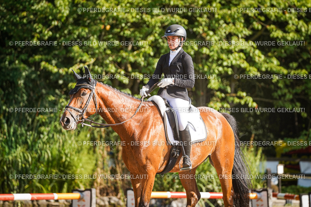 DSC09772 | Pferdegrafie