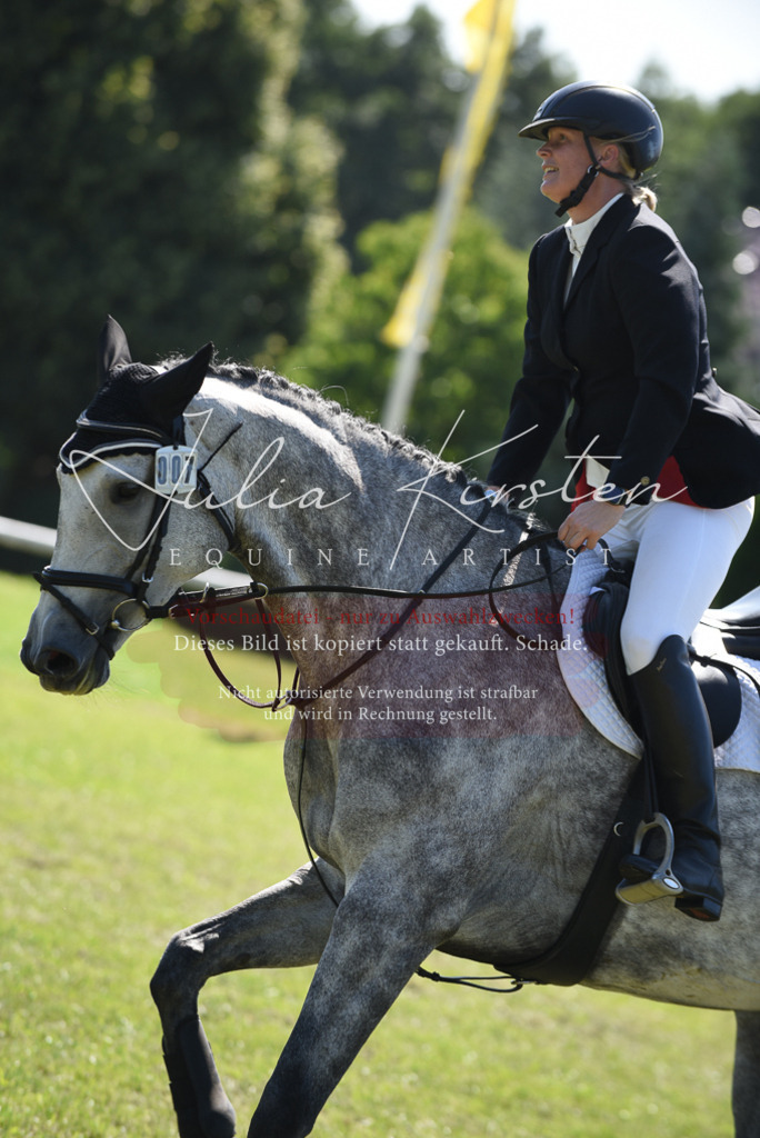 DSC_9537 | Pferde- und Turnierfotografie in Westsachsen. Pferdeportraits, Auftragszeichnungen und intuitive Kunst.