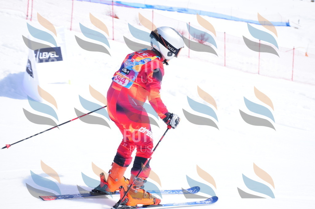 DSC_7075 | holidayphoto