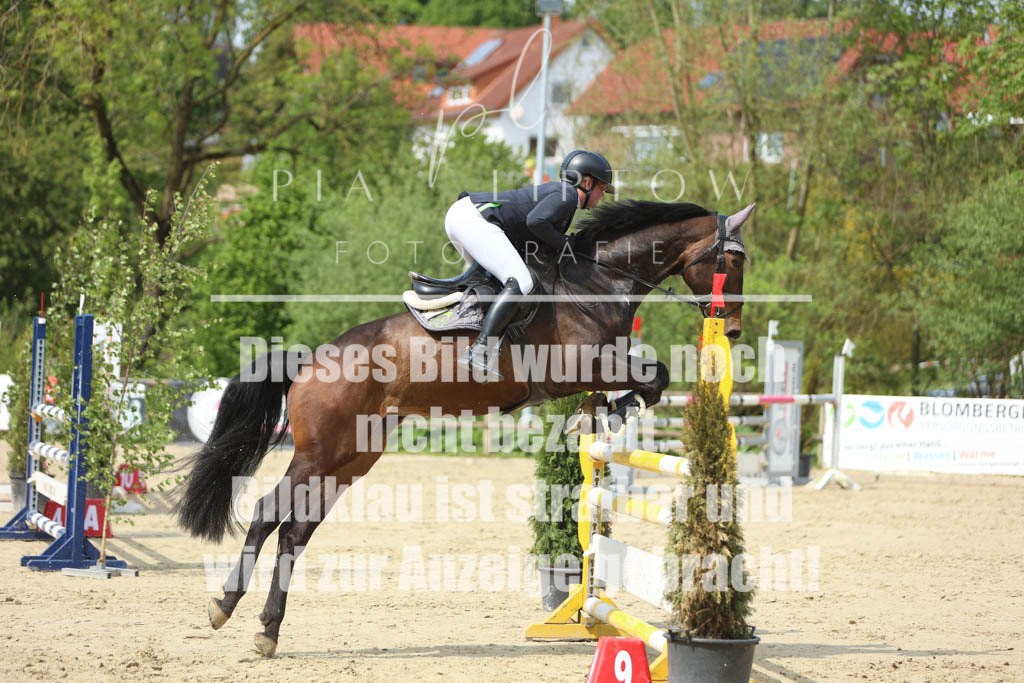 IMGM5745 | pl-fotografie
