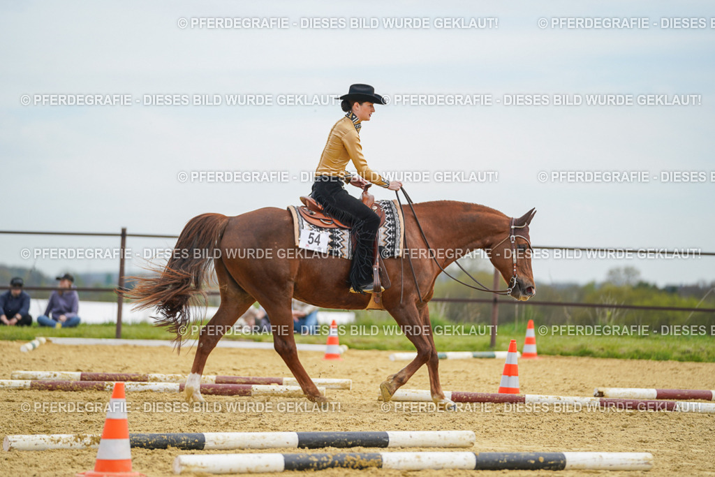 DSC03271 | Pferdegrafie