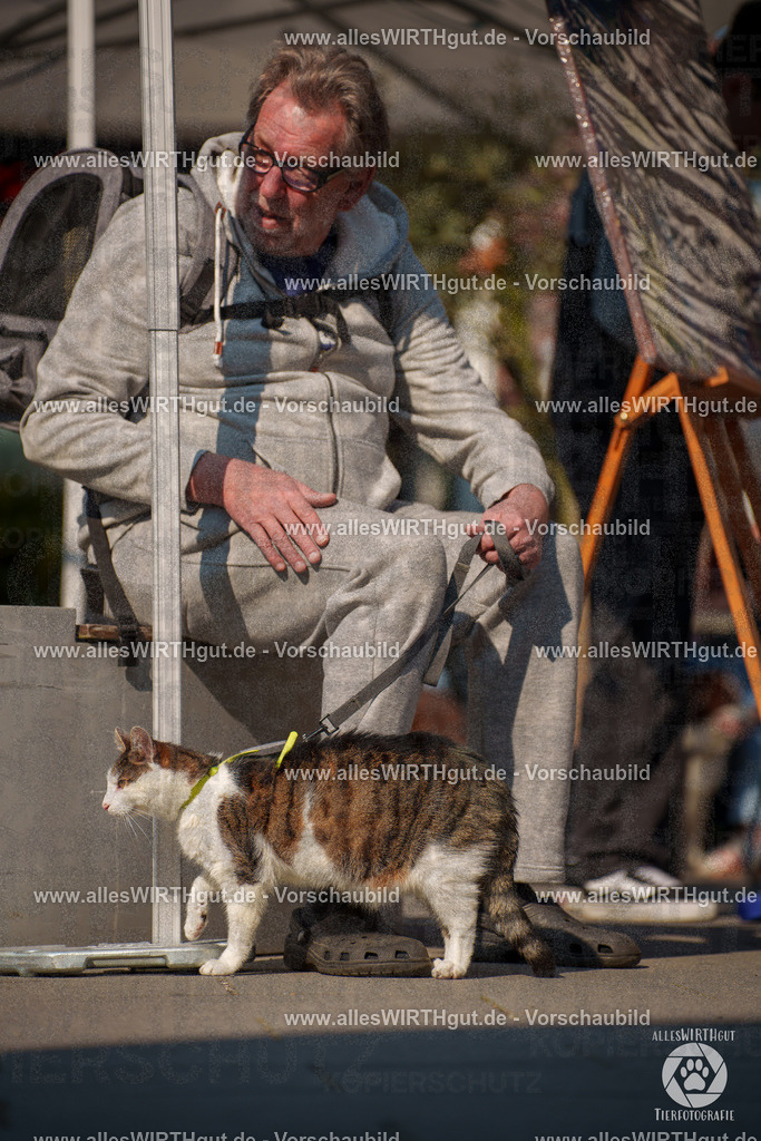 Pfötchenmarkt Nettetal-Lobberich 2026 - Nettetal-Tag - Daniel Wirth - www.allesWIRTHgut.de - @allesWIRTHgut_Tierfotografie 7R508202 | Professionelle Tierfotografie in Mönchengladbach von Daniel Wirth (allesWIRTHgut). Liebevolle & natürliche Bilder von Hunden & Katzen für unvergessliche Erinnerungen.