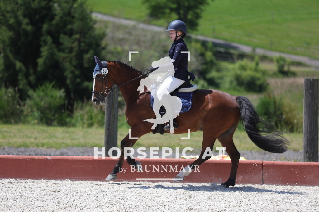 0P6A6343 | Willkommen bei Brunnmayr - Design & Fotografie – Ihrem Spezialisten für Reitturniere und Pferdeveranstaltungen in Oberösterreich, Salzburg und Bayern! Seit über 17 Jahren sind wir leidenschaftlich dabei.