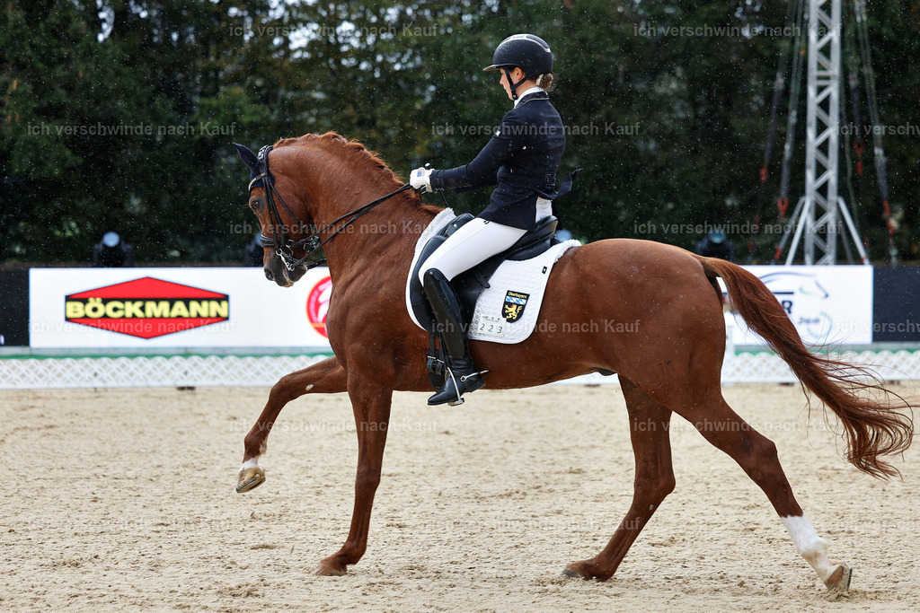 05-223-DRESSUR M_  -StoibPH-4886 | working equitationturnier fotograf videograf stoibphotography marixx film working equitation deutschland reitsport turnierfotografie eventfotografie equestrian events