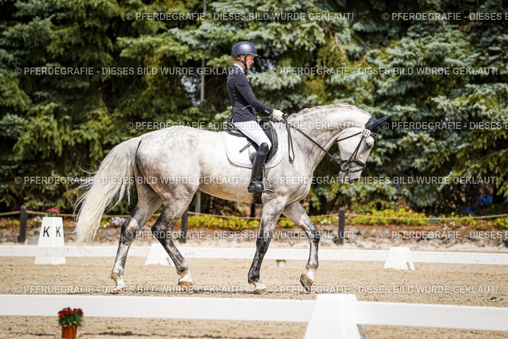 DSC02294 | Pferdegrafie