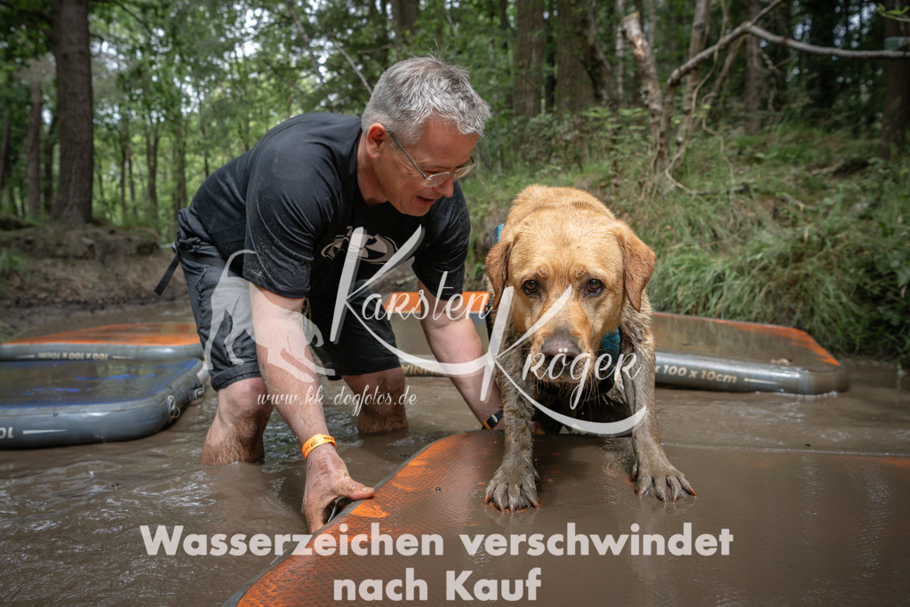 1237_ZZ90294 | kk-dogfotos