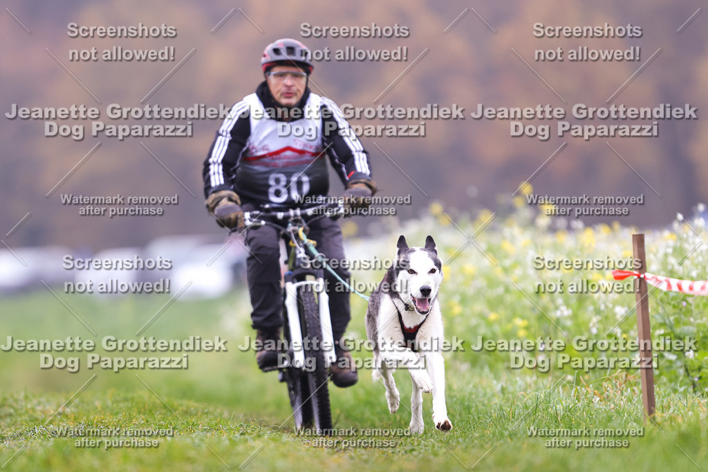 Dog Paparazzi - Visbeck 25 -230 | Dog Paparazzi Jeanette Grottendiek Fotografie & Videografie - Realisiert mit Pictrs.com