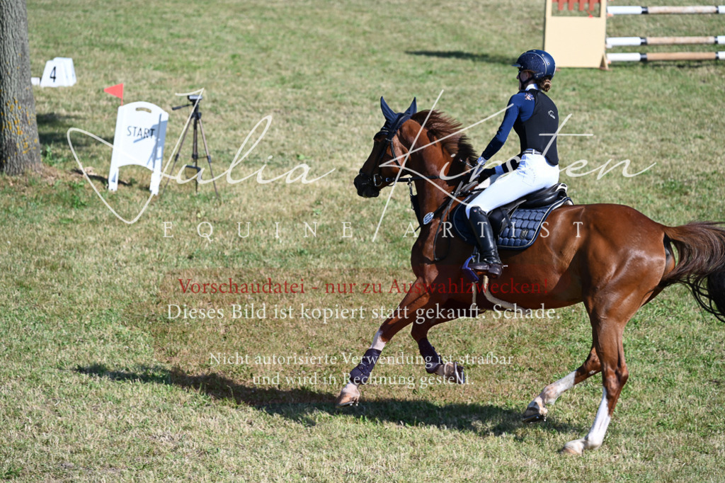 DSC_2337 | Pferde- und Turnierfotografie in Westsachsen. Pferdeportraits, Auftragszeichnungen und intuitive Kunst.