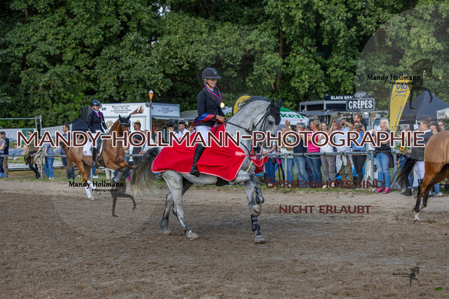 Ehrung (462 von 693) | mandyhollmannphotographie