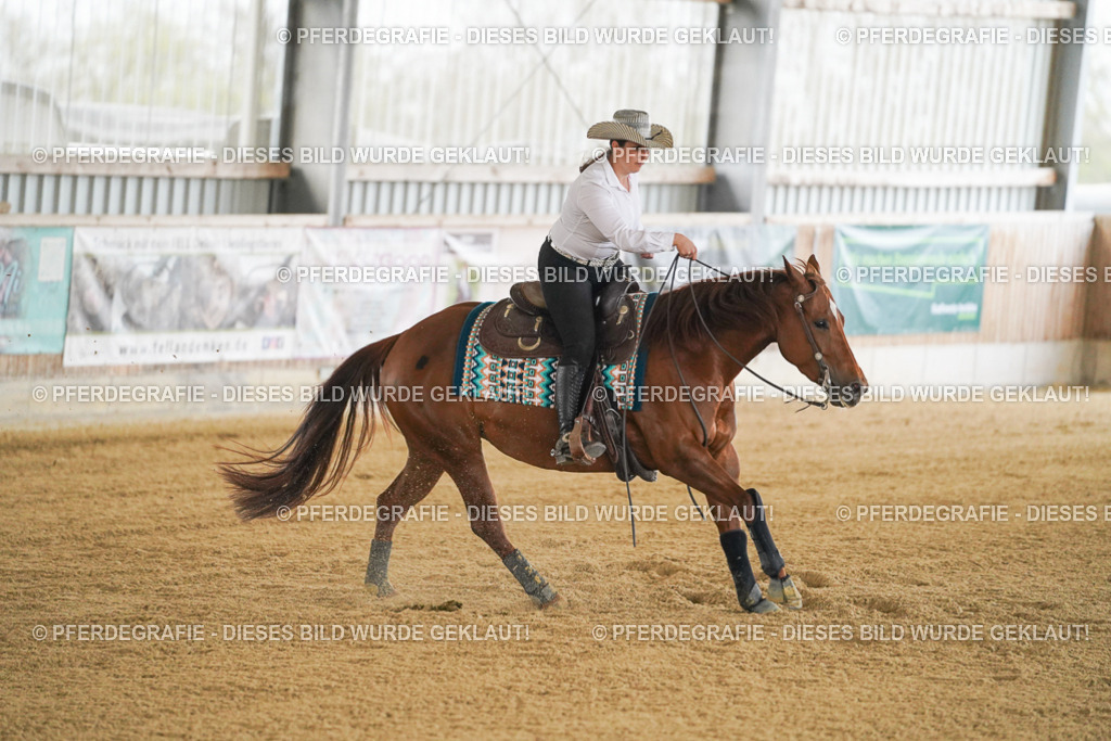 DSC07845 | Pferdegrafie