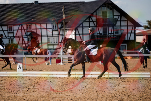 2026_10_03_Siefer-Hof_130338_Z63_65818781 | Professionelle Reitsport-, Turnier- und Eventfotografie von Robert Broda. Galerien mit ausgewählten und bearbeiteten Bildern direkt online ansehen und bestellen.
