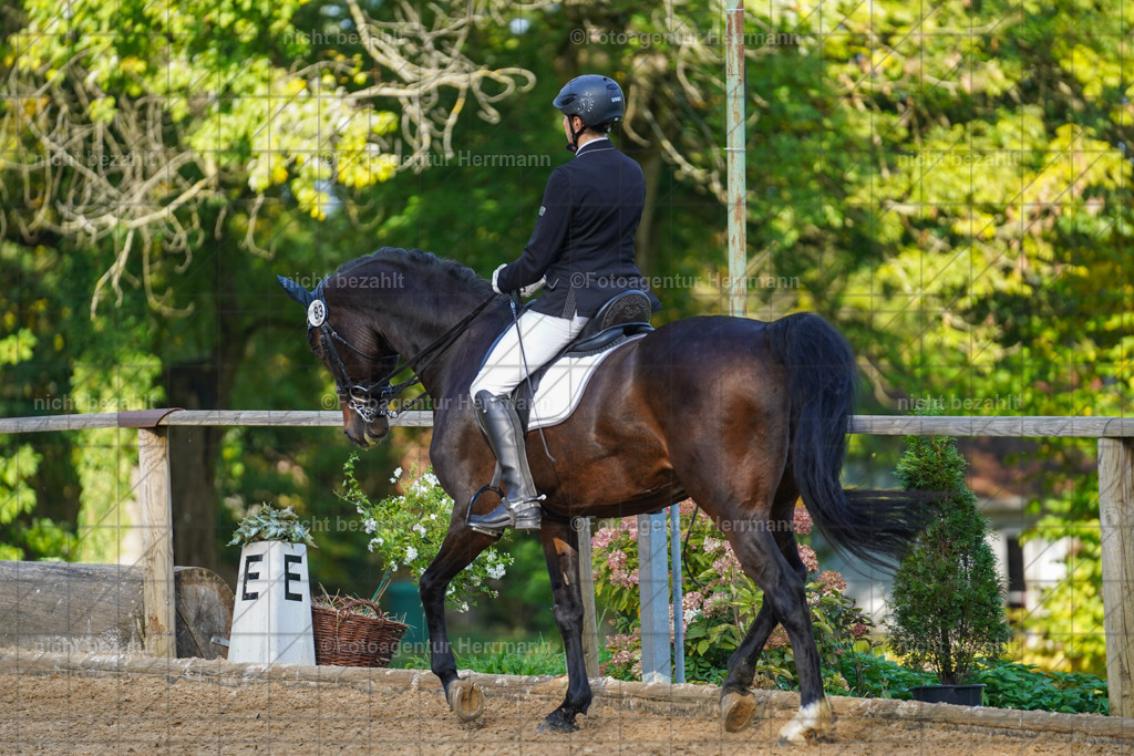 20221007-FAH00135 | Diessen am Ammersee, 2022, Dressur- und Springturnier, Reitsportbilder, Turnierfotografen Bayern, Pferdefotografen, Fotoagentur Herrmann, Turnierbilder