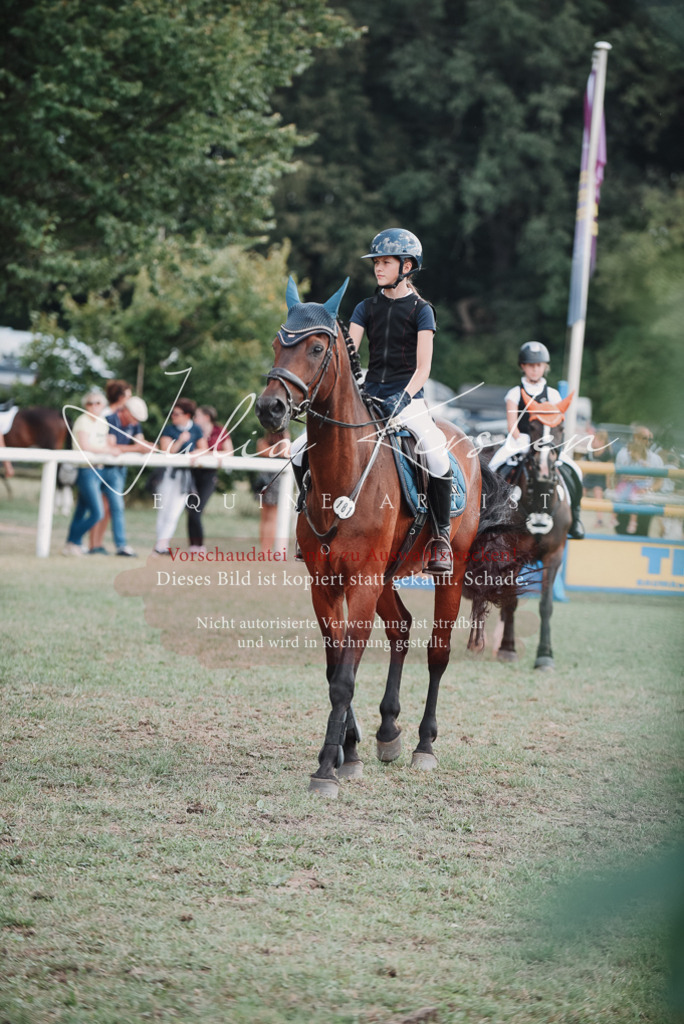 DSC_5657 | Pferde- und Turnierfotografie in Westsachsen. Pferdeportraits, Auftragszeichnungen und intuitive Kunst.