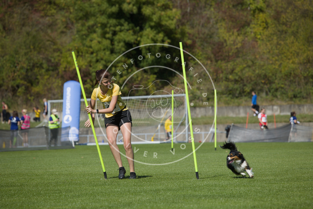 0L8A5915 | Hundefotografie, Tierfotograf, Pfotenfotografie, Fotoshooting Hund, Hunde Portrait, Hundesport, Hundeportraits, Heideshooting, Hunde, Sportfotograf, Hundefotograf, Turnierhundsport, THS,  - Realisiert mit Pictrs.com