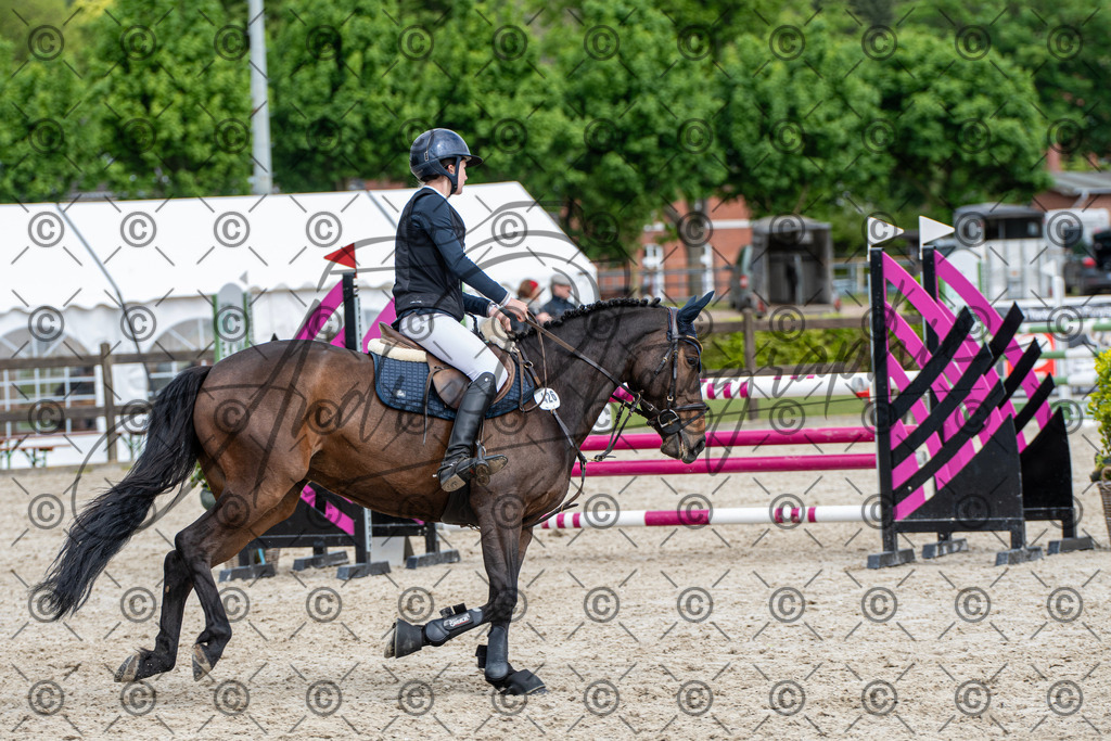 KPT_8921 | andre_photographic