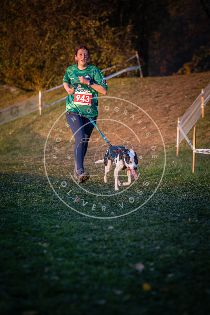 CaniXpix_0L8A1962 | Hundefotografie, Tierfotograf, Pfotenfotografie, Fotoshooting Hund, Hunde Portrait, Hundesport, Hundeportraits, Heideshooting, Hunde, Sportfotograf, Hundefotograf, Turnierhundsport, THS,  - Realisiert mit Pictrs.com