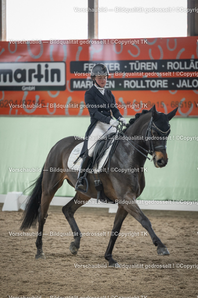 _D5A5217 | Emotionale Pferde- & People-Fotografie rund um Heidelberg, Leimen & Umgebung. Natürliche Fotos von Pferd, Mensch & Familie. Jetzt Termin sichern!