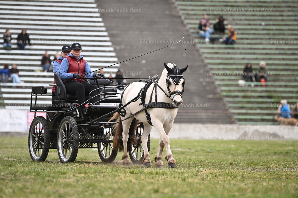 PI26_Show_Sara_Landvogt_226_0861.JPG | working equitationturnier fotograf videograf stoibphotography marixx film working equitation deutschland reitsport turnierfotografie eventfotografie equestrian events