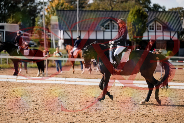 2026_10_03_Siefer-Hof_133639_Z63_97373944 | Professionelle Reitsport-, Turnier- und Eventfotografie von Robert Broda. Galerien mit ausgewählten und bearbeiteten Bildern direkt online ansehen und bestellen.