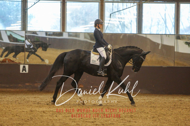 IMG_8056 | Turniersportfotografie; Pferdefotografie; Dressurfotografie
